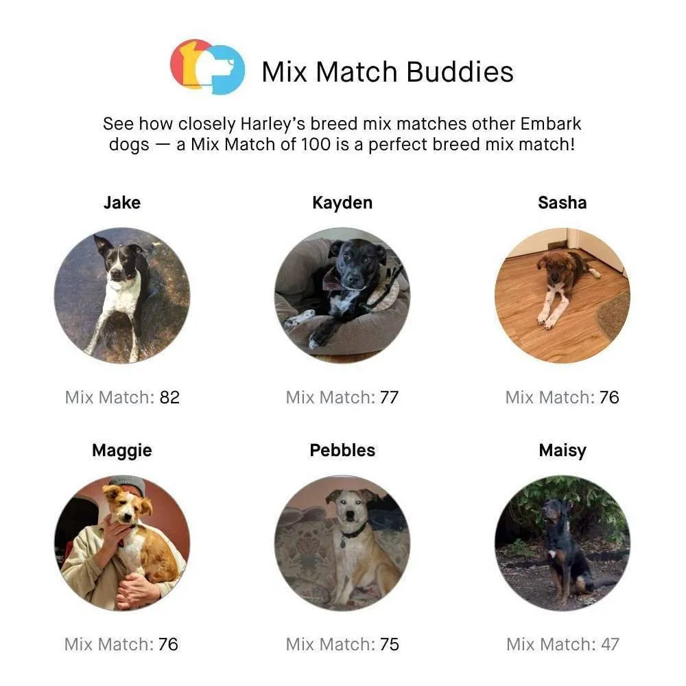 Embark Dog DNA Test Breed Identification Kit - Image 4