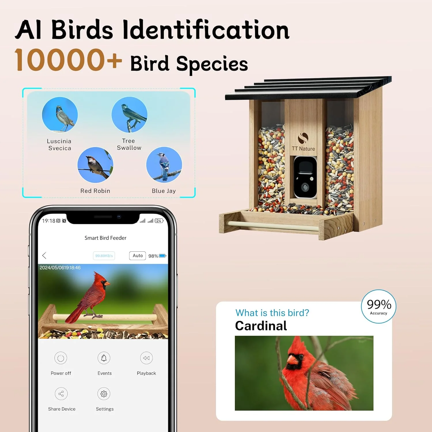 Feeder with Camera, Upgraded Smart Bird Feeder with Solar Powered, AI Identify for 10000 Plus Bird Species, Auto Capture Bird & Real-time Notifications, Ideal Gift for Bird Lovers - Image 3