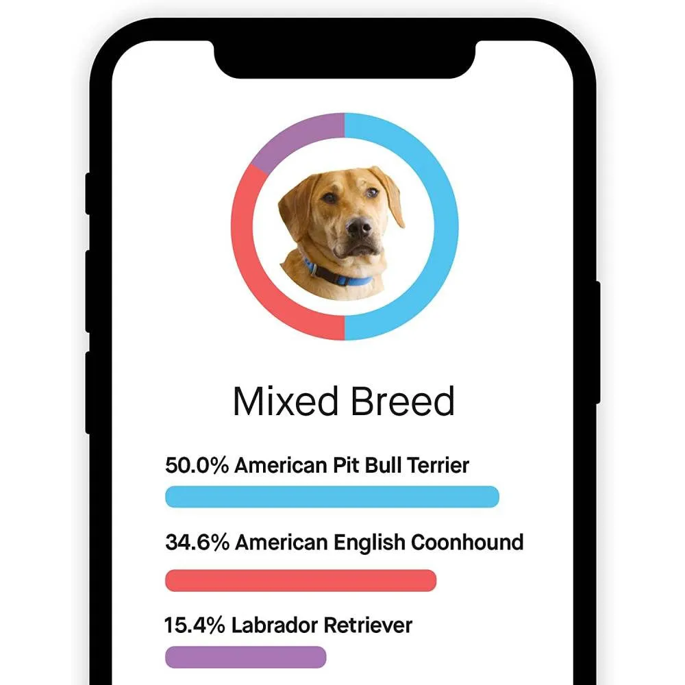 Embark Dog DNA Test Breed Identification Kit - Image 7